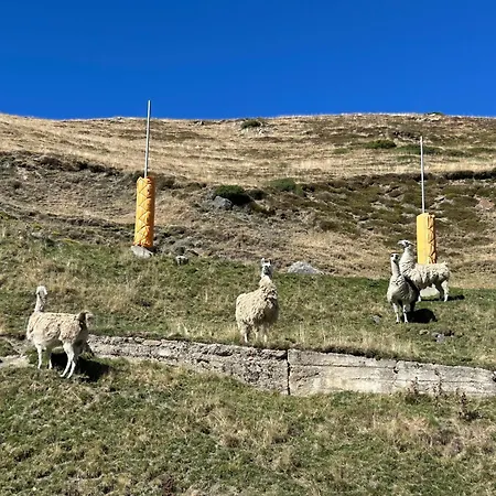 Les Cimes Au Pied Des Pistes Appartement *